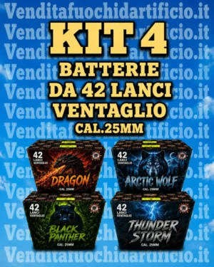 Kit 4 Batterie 42 Lanci Semi-Professionali